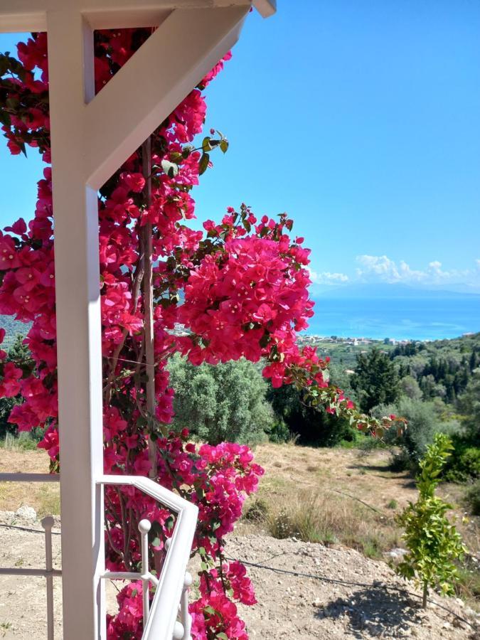 Villa Vasiliki View Ágios Pétros Exterior foto